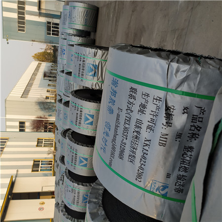 钢丝绳芯输送带